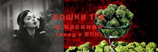 PSILOCYBIN Абдулино