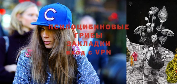 тгк Алзамай