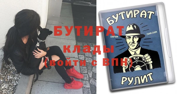 ПСИЛОЦИБИНОВЫЕ ГРИБЫ Осинники